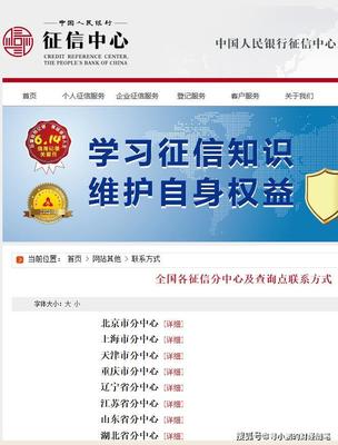 2020最新版全面介紹 個人征信報告查詢指南與征信狀態(tài)解析