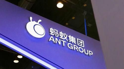 李楠與“螞蟻的救贖” 從征信服務(wù)看金融科技前路何方